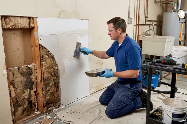Mold and Drywall Repair North Salt Lake