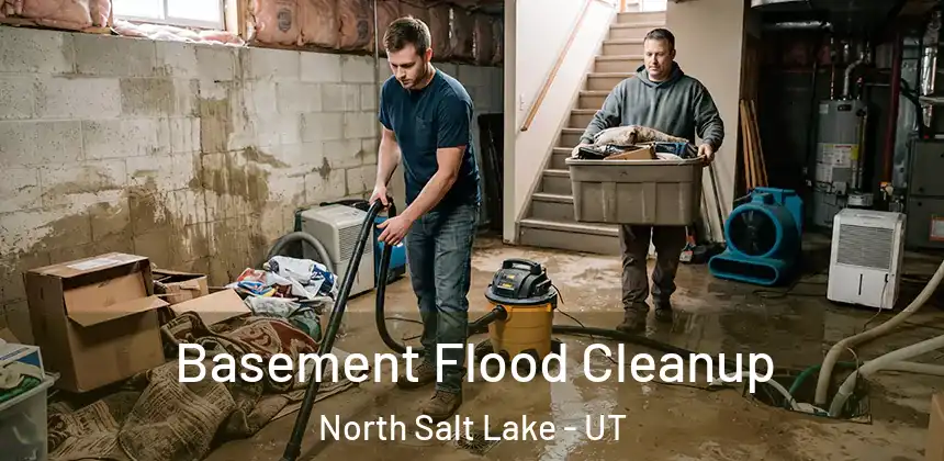  Basement Flood Cleanup North Salt Lake - UT