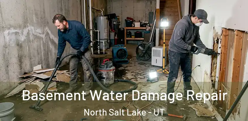  Basement Water Damage Repair North Salt Lake - UT