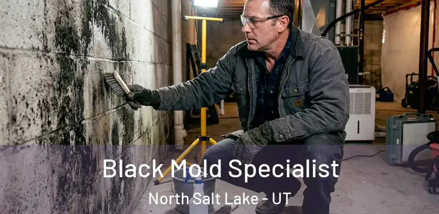  Black Mold Specialist North Salt Lake - UT