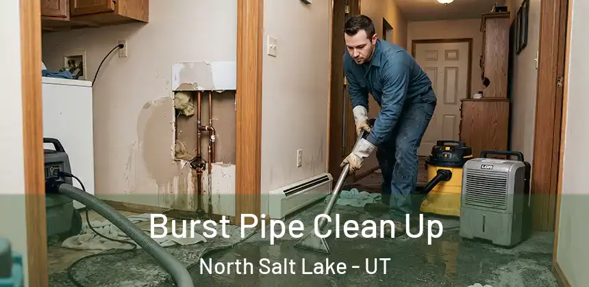  Burst Pipe Clean Up North Salt Lake - UT