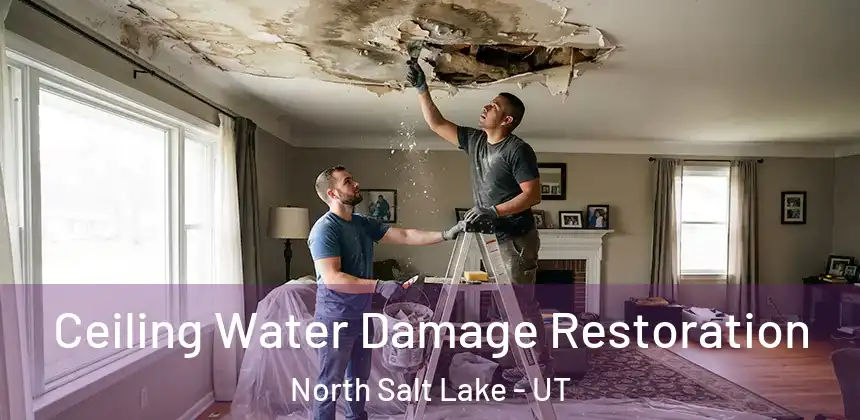  Ceiling Water Damage Restoration North Salt Lake - UT