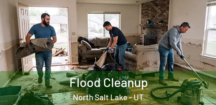  Flood Cleanup North Salt Lake - UT