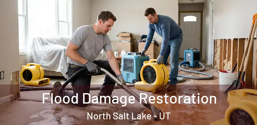  Flood Damage Restoration North Salt Lake - UT