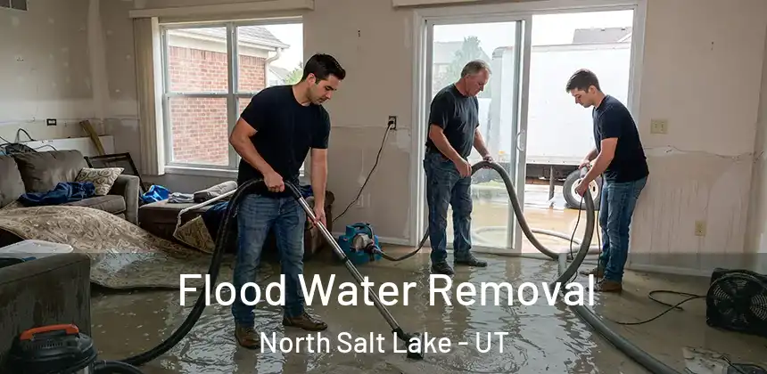  Flood Water Removal North Salt Lake - UT