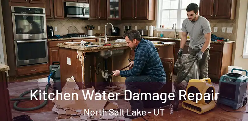 Kitchen Water Damage Repair North Salt Lake - UT