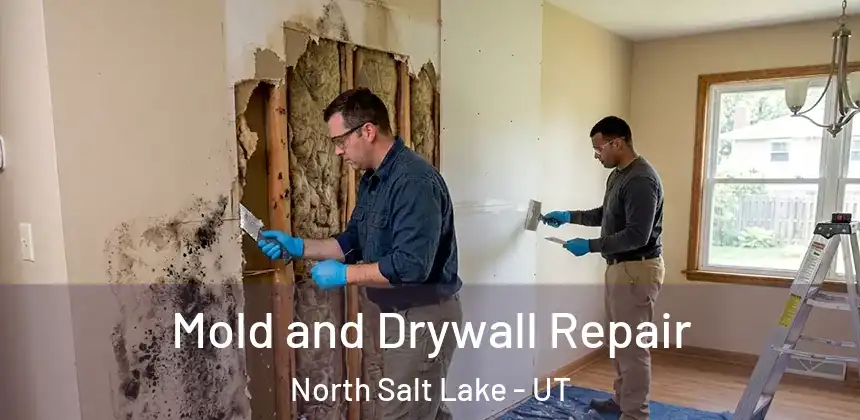  Mold and Drywall Repair North Salt Lake - UT