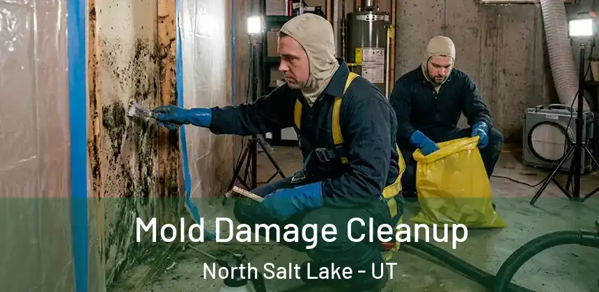  Mold Damage Cleanup North Salt Lake - UT