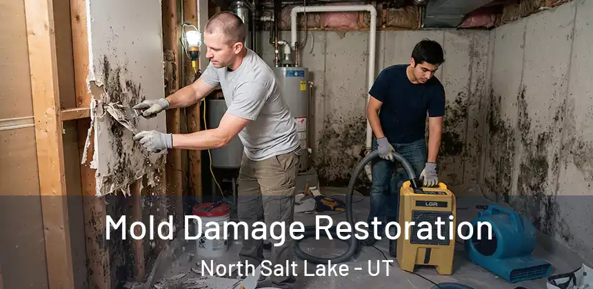  Mold Damage Restoration North Salt Lake - UT
