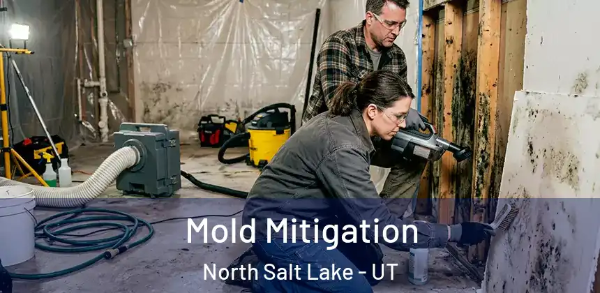  Mold Mitigation North Salt Lake - UT