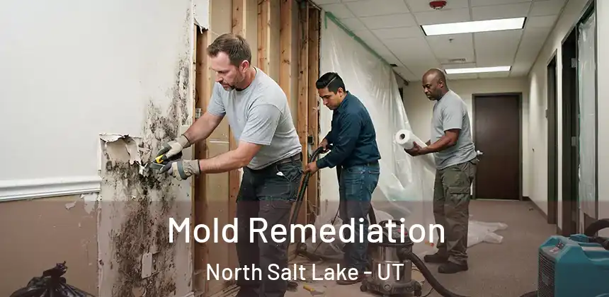  Mold Remediation North Salt Lake - UT