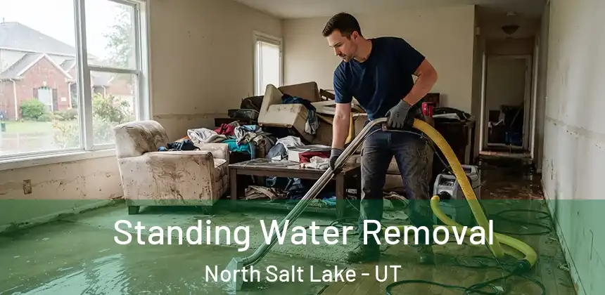  Standing Water Removal North Salt Lake - UT