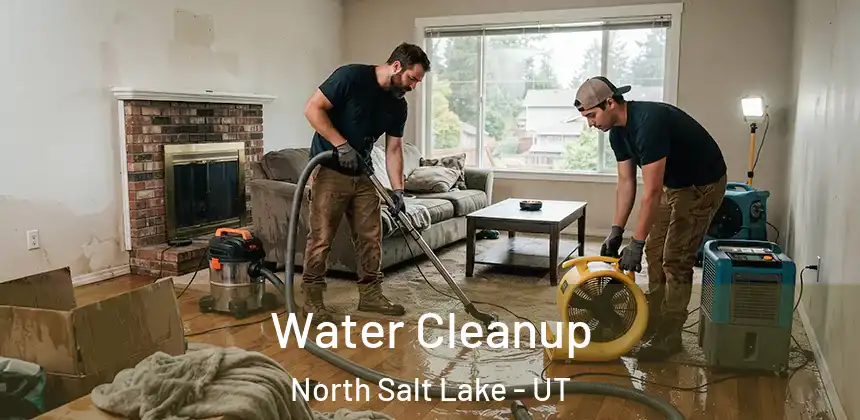  Water Cleanup North Salt Lake - UT