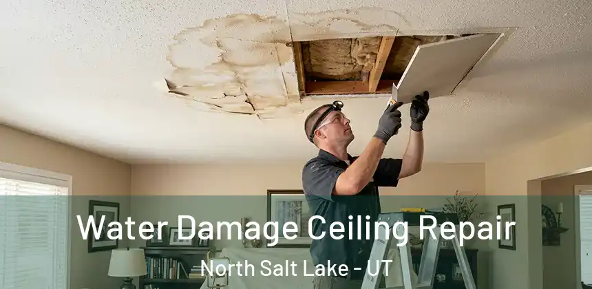  Water Damage Ceiling Repair North Salt Lake - UT