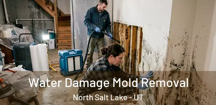  Water Damage Mold Removal North Salt Lake - UT