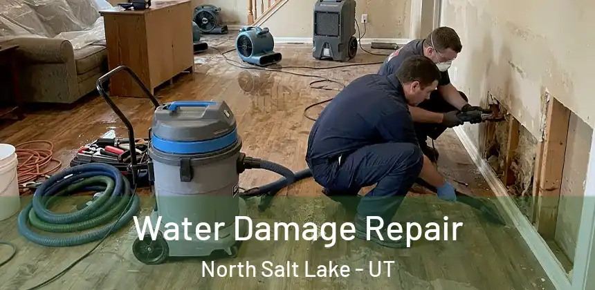 Water Damage Repair North Salt Lake - UT