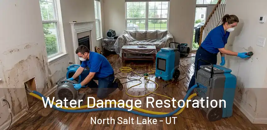  Water Damage Restoration North Salt Lake - UT