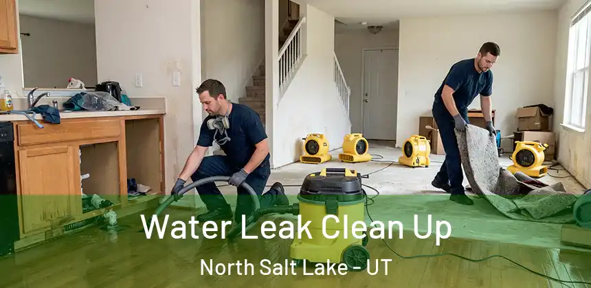 Water Leak Clean Up North Salt Lake - UT