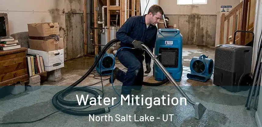 Water Mitigation North Salt Lake - UT
