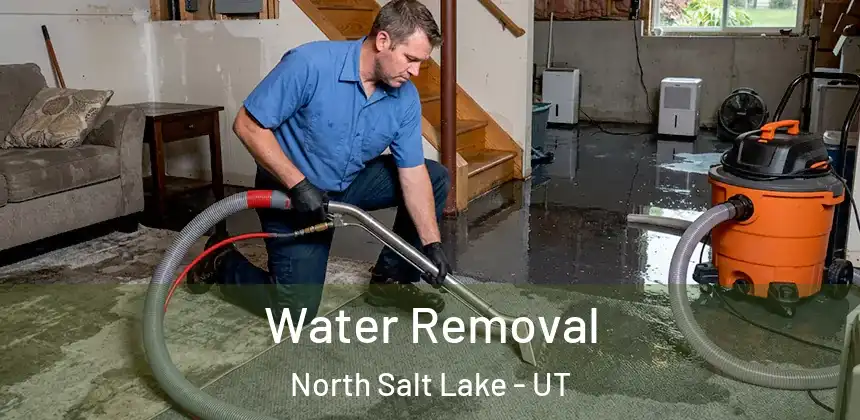  Water Removal North Salt Lake - UT