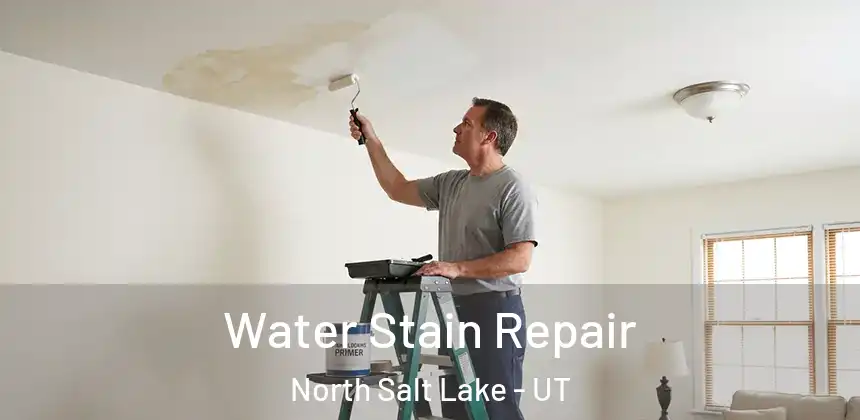  Water Stain Repair North Salt Lake - UT